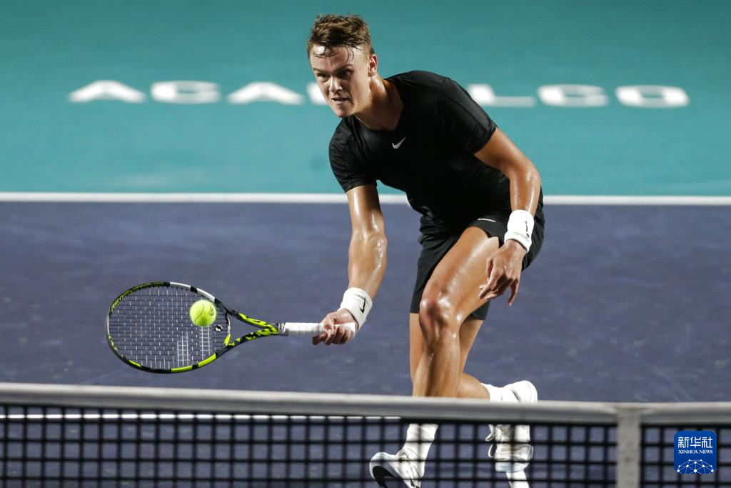 以新能源汽 以新能源汽