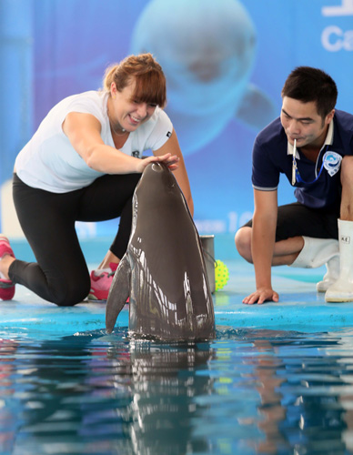 成为社交媒 成为社交媒